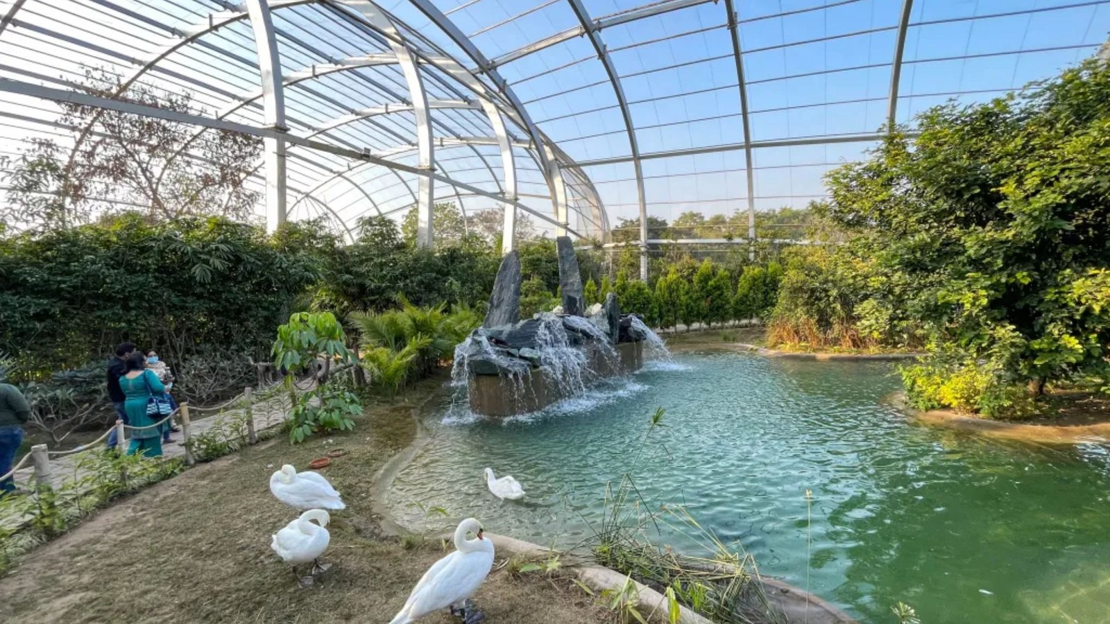 Places to Visit in Chandigarh