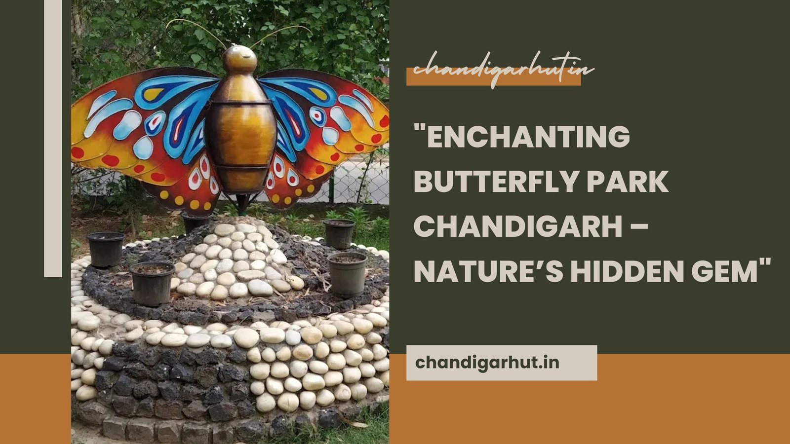 Butterfly Park Chandigarh