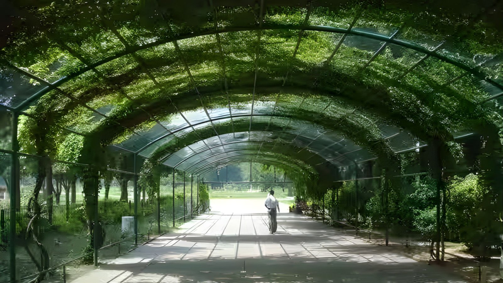 Chandigarh Parks and Gardens