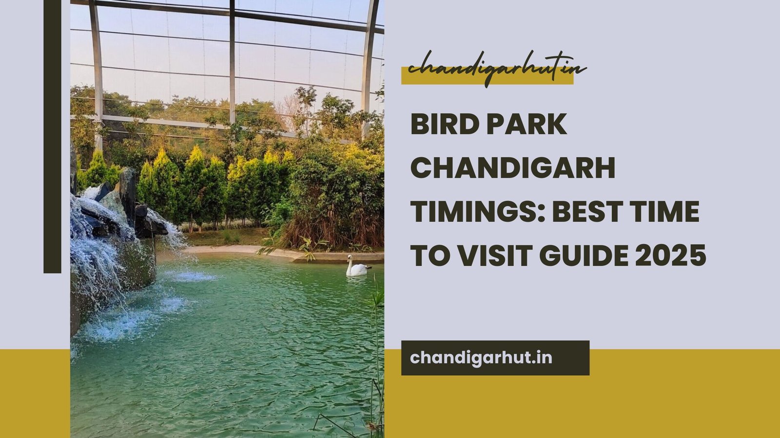 bird park chandigarh timings