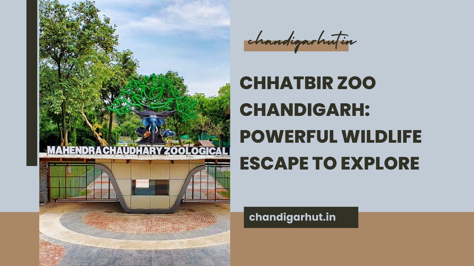 Chhatbir Zoo Chandigarh