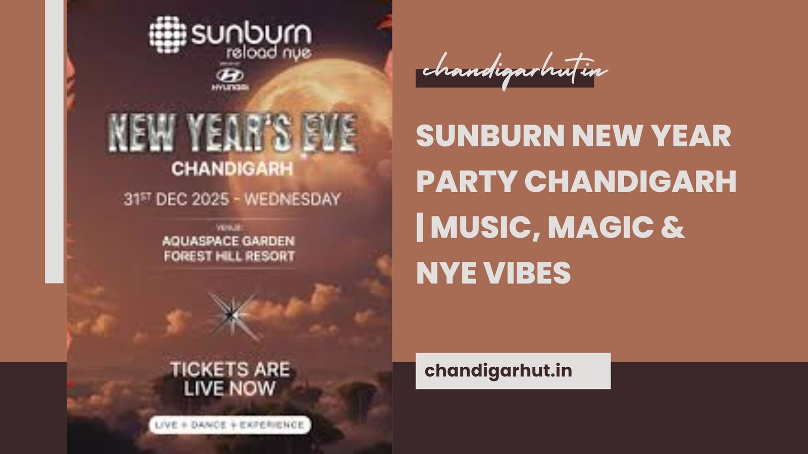 Sunburn New Year Party Chandigarh