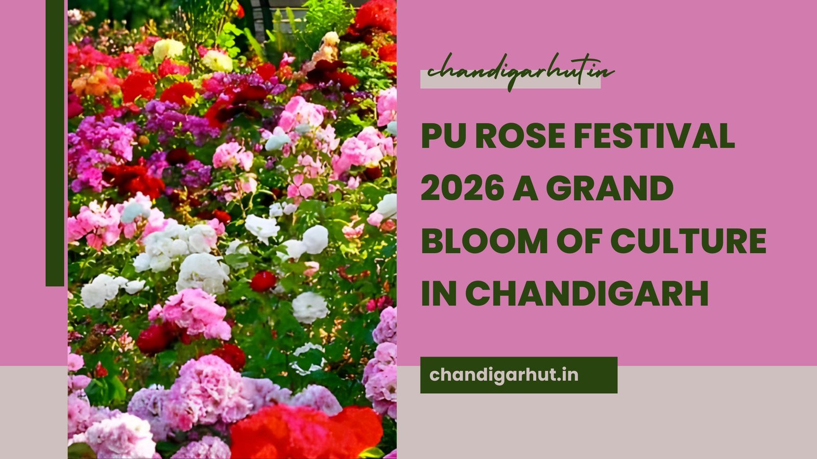 PU Rose Festival 2026